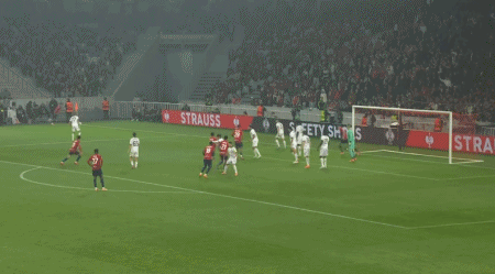 TYAA, RlCFQ TYAA, RlCFQ